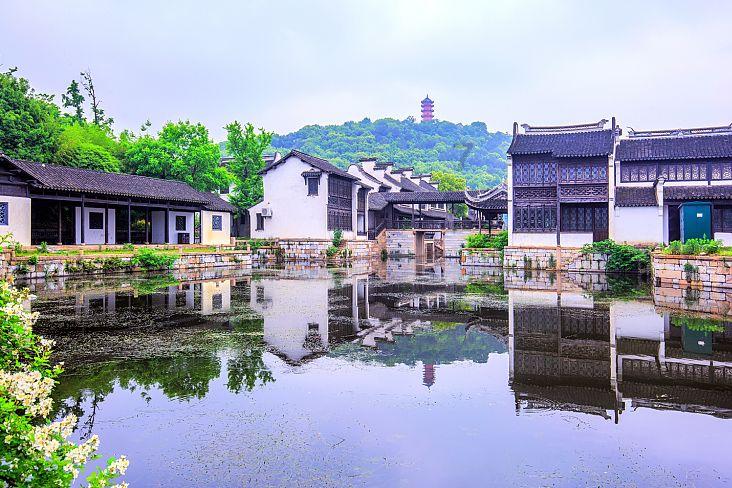 逃离天鹅森林